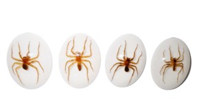 Araña Acuática, Espécimen Real, Cabujón de Plástico Ovalado de 30x40 mm, Base Plana Blanca, para Manualidades y Joyería - Product Image 2