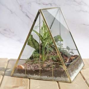 Conteneur de terrarium décoratif en forme de cabane, récipient transparent pour la maison, le bureau, le jardin, améliorant l'esthétique des plantes d'intérieur - Product Image 2