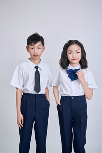 Camisa de Uniforme Escolar Primaria FMF, 65% Poliéster, 35% Algodón TC, Blanca, Manga Corta, Unisex, con Botones, Vietnam - Product Image 6