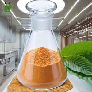 Highly Recommended High Purity 7-OH MIT Thai Herbal Leaf Extract Powder 80% Solvent Extraction Vacuum Packed Pharmaceutical - Product Image 3