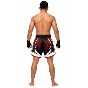 Pantalones Cortos de Boxeo Muay Thai Fairtex de Alta Calidad en Oferta, Talla Grande, Tejido Oxford Informal, Multicolores, Transpirables - Product Image 5