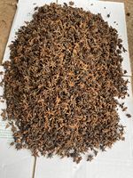 Bunga Cengkeh Besar Rasa Enak Harga Pabrik dari Phalco Vietnam Company, Proses Pengeringan Campuran, Rempah & Herbal Tunggal Kering