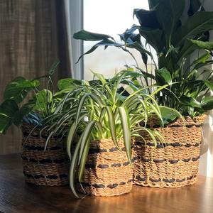 Juego de 3 cestas de mimbre de algas marinas y yute, cestas de almacenamiento hechas a mano, venta al por mayor, ecológicas, hechas en Vietnam - Product Image 5