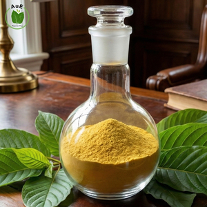 Extracto de Hoja de Mit 80% Herbal Tailandés AuE de Calidad Superior, en Polvo, Extraído con Solvente, Grado Farmacéutico, Envasado al Vacío - Product Image 1