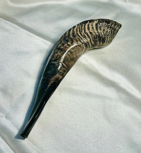 Shofar artisanal personnalisé en corne de bélier, instrument sonore religieux et cérémoniel, finition naturelle, décoratif, objet de collection élégant - Product Image 1
