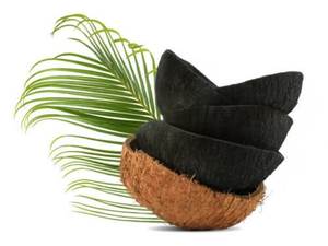 Charbon de coco de haute qualité provenant d'un fournisseur vietnamien pour les industries du carburant et de la transformation. - Product Image 6