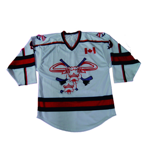 Jersey de Hockey sobre Hielo Personalizado para Hombre, Azul, Verde y Blanco, Cuello Redondo, Manga Larga, Sublimación Impresa, Capitán, Malla Transpirable - Product Image 1