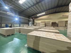 Contrachapado de Pino E0 de 4x8 pies, Ecológico, Resistente al Agua, de Vietnam, Modelos 9-12-15-18mm, para Suministro de Muebles de Hotel, Fabricante ODM - Product Image 6