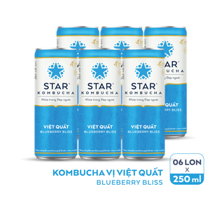 Hot Selling Blueberry Bliss Kombucha Drink 250ml Star Kombucha Brand Fermented Tea <b>Beverage</b> Competitive Price Wholesale Export - Product Image 3