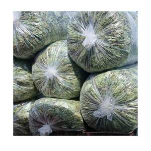 Feuilles de Taro Séchées 2026 à Livraison Rapide, Issues de Plantes de Taro Fraîches, Vente en Gros au Meilleur Prix, Qualité Supérieure, Emballage Personnalisé 100g - Product Image 2