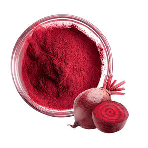 Dried Beetroot Powder Health Food Grade High Purity Beetroot Powder Used as a natural health food ingredient Wholesale Supplier - Product Image 1