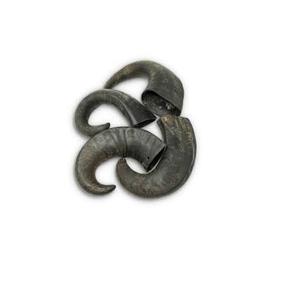 Cuerno de búfalo y vaca crudo de calidad natural, listo para exportar a bajo costo, en venta. - Product Image 1