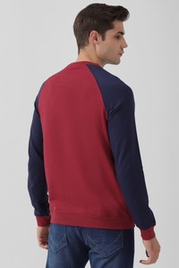 <b>Men's</b> <b>Red</b> and Navy Raglan Sleeve Crew Neck Pullover <b>Sweatshirt</b> Regular Fit Knitted Solid Color Casual Autumn Wear - Product Image 2