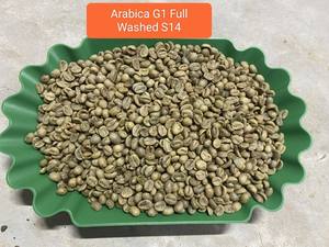 Granos de Café Verde Arábica de Alta Calidad, Origen Son La, Estilo Vietnam, Secos, en Empaque a Granel, Venta al por Mayor, Cultivados a 900-1200 Metros de Altitud, S18 - Product Image 2