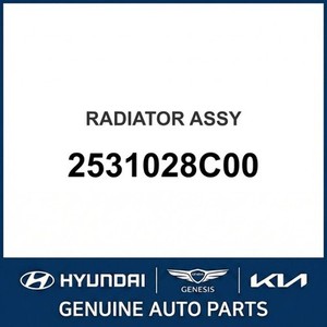 Radiadores Nuevos para Elantra 2531028C00 - Product Image 1