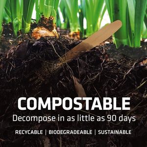 Ensemble de couverts en bois jetables 100% compostables à domicile, écologiques, organiques, durables, certifiés neutres en carbone - Product Image 2