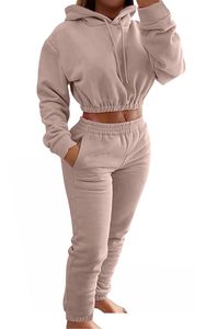 Ensemble de survêtement tendance pour femme : sweat-shirt court et pantalon de jogging – Commande en gros - Product Image 5