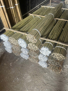 Varas de Bambú de 2-3 Metros de Longitud, Estacas de Bambú Natural Enteras para Construcción y Uso Estructural - Product Image 6