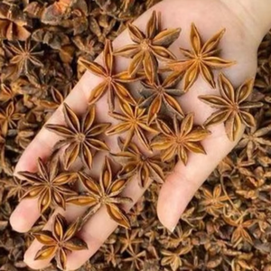 Anis étoilé frais et séché de qualité supérieure du Vietnam, prix compétitif - Product Image 1