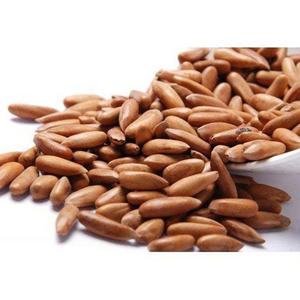 Piñones de alta calidad al por mayor, bocadillos de nueces - Product Image 4