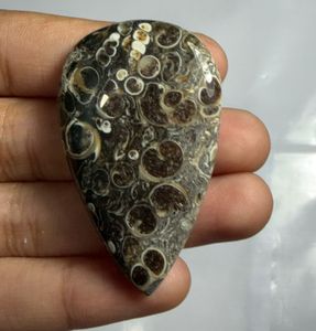 Cabujón de ágata Turritella en forma de corazón, mineral pulido para la fabricación de joyas - Product Image 3