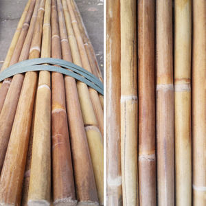 หวายโรตองทั้งเส้น หวายดิบธรรมชาติ คุณภาพสูง แข็งแรง ตรง สำหรับทำเฟอร์นิเจอร์ เกรดเดียวกับวัสดุทำโครงเก้าอี้ หวายยาว - Product Image 5