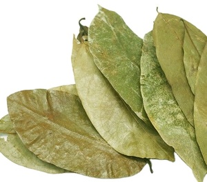Feuilles séchées de graviola de corossol pour le thé - Product Image 1
