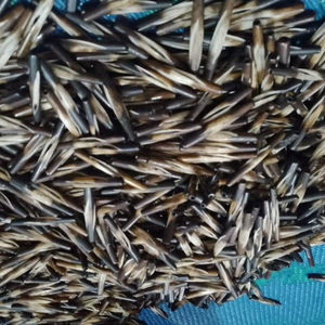 ลูกปัดทำจากกระดูกควายแท้ ขัดเงาด้วยมือ สำหรับเครื่องประดับชนเผ่าและสร้อยคอ ขายส่ง - Product Image 1