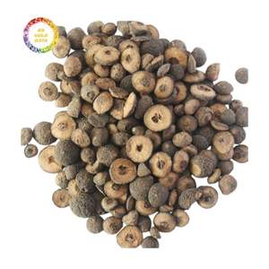 Orange amère séchée (Fructus Aurantii) – Export en vrac direct usine – Écorce d'orange amère de haute qualité – Fructus Aurantii Immaturus - Product Image 1