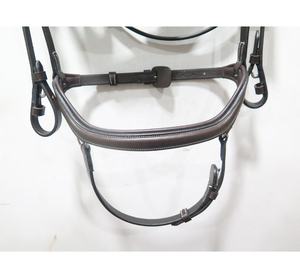 Bridon en cuir rembourré avec frontale et muserolle pour l'entraînement équestre - Product Image 3