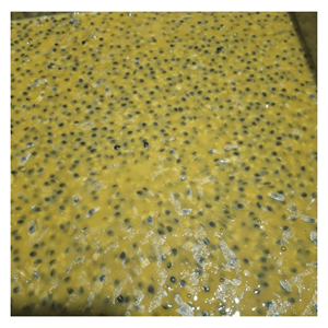 Purée de fruit de la passion surgelée IQF avec pépins, préparée à partir de pulpe de fruit de la passion naturelle pour la préparation de smoothies et de desserts - Product Image 3