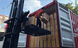 บะหมี่ข้าวแห้งเวียดนามในถุง ผลิตแบบดั้งเดิม พร้อมรับประทาน มีแหล่งจ่ายที่มั่นคง ราคาโรงงานแข่งขันได้ - Product Image 4