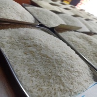 Riz Jasmin Thaï Bio en Gros, Blanc Pur, Grain Moyen, Texture Ferme, Frais et Séché, Qualité Supérieure, Certifié HACCP ISO, 5% de Brisure