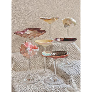 Seashell Glass handmade <b>clear</b> glass with natural shell decor for drink serving and <b>table</b> decoration Vietnam - Product Image 5