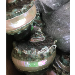 เปลือกหอยมุกขัดเงาสวยงาม เปลือกหอยสังข์ขนาดใหญ่ เปลือกหอยเทอร์โบ เปลือกหอยสังข์สีเขียวขนาดยักษ์ เปลือกหอยมาร์มาตัส - Product Image 5