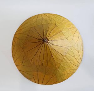 Heritage and Sustainability Lotus Leaf Hat for Authentic Eco-Friendly Outdoor Fashion - Product Image 5