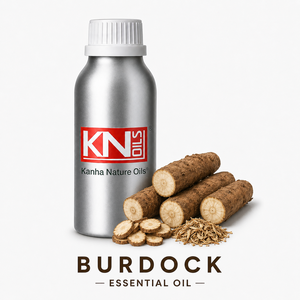 Trusted Supplier 100%Pure Burdock <b>Essential</b> <b>Oil</b> Bulk Manufacturer Organic Certified Arctium Lappa Cosmetic Grade Global Exporter - Product Image 1