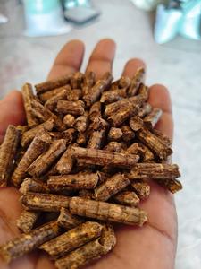 เม็ดไม้คุณภาพสูง พลังงานทดแทนสำหรับอุตสาหกรรม - Product Image 1