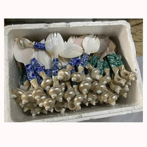 Seashell Spoon Souvenir Gift <b>for</b> <b>Wedding</b> <b>Guests</b> Beach Events and Coastal Celebration Occasions - Product Image 6
