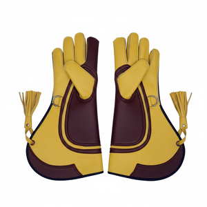 Guantes de Cetrería de Alta Calidad, Personalizados OEM/ODM, Precio de Fábrica, Duraderos, Reforzados, de Cuero, Protección para las Manos - Product Image 1