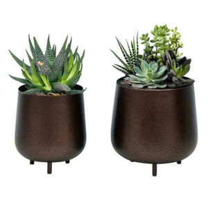 Juego de 2 Macetas Metálicas Marrón Oscuro para Suculentas con Patas Cortas, Decorativas para Interiores, Hogar, Oficina y Decoración de Mesa Moderna - Product Image 1