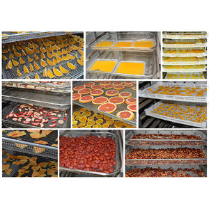 Commercial Big Dry Fruit Légumes Graine Sandlot Oignon Industriel Séchoir <span class=keywords><strong>À</strong></span> Fruits Secs Alimentaire <span class=keywords><strong>Sèche</strong></span>-<span class=keywords><strong>Pompe</strong></span> <span class=keywords><strong>À</strong></span> <span class=keywords><strong>Chaleur</strong></span> - Product Image 5