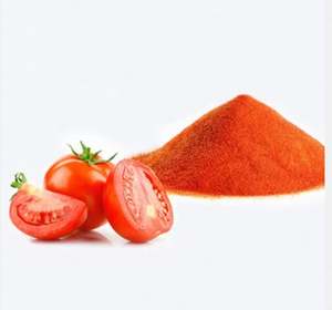Poudre de tomate de qualité supérieure, saine et très savoureuse, pour les currys et les sauces, provenant d'un exportateur indien au meilleur prix. - Product Image 2