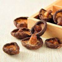 Premium vacuüm gedroogde gemengde fruitchips, zout en peper champignons chips, gezonde groentechips, bulk snack Vietnam