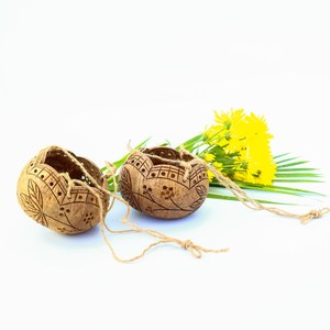 Maceta biodegradable de cáscara de coco para jardín, accesorios de decoración para el hogar, mini maceta de orquídeas, venta al por mayor - Product Image 2