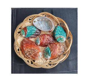 Coquilles d'ormeaux naturelles polies, écologiques, matériau décoratif, surface irisée, du Vietnam, pour la maison, l'artisanat et la collection - Product Image 1