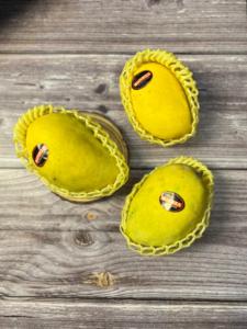 ข้อเสนอสุดพิเศษ 2026 มะม่วงสดจากปากีสถาน สำหรับบรรจุภัณฑ์เพื่อส่งออกเพื่อสุขภาพ - Product Image 5