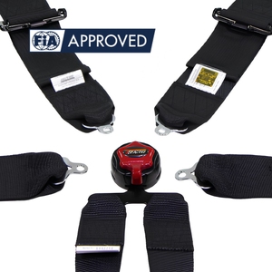 TBRACING ECO FIA Approved Racing Harness 6 Points Steel Adjusters Snap <b>Hook</b> Eye Bolt OEM ODM for Racing Brands - Product Image 4