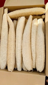 Esponja de Luffa Natural Ecológica, Esponja de Baño Exfoliante Suave, Sin Desperdicio, Sin Plástico, Venta al Por Mayor - Product Image 6