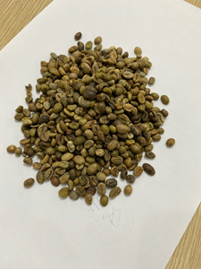 Robusta Whole Bean Coffee Premium Green Beans para un sabor rico y audaz - Product Image 5